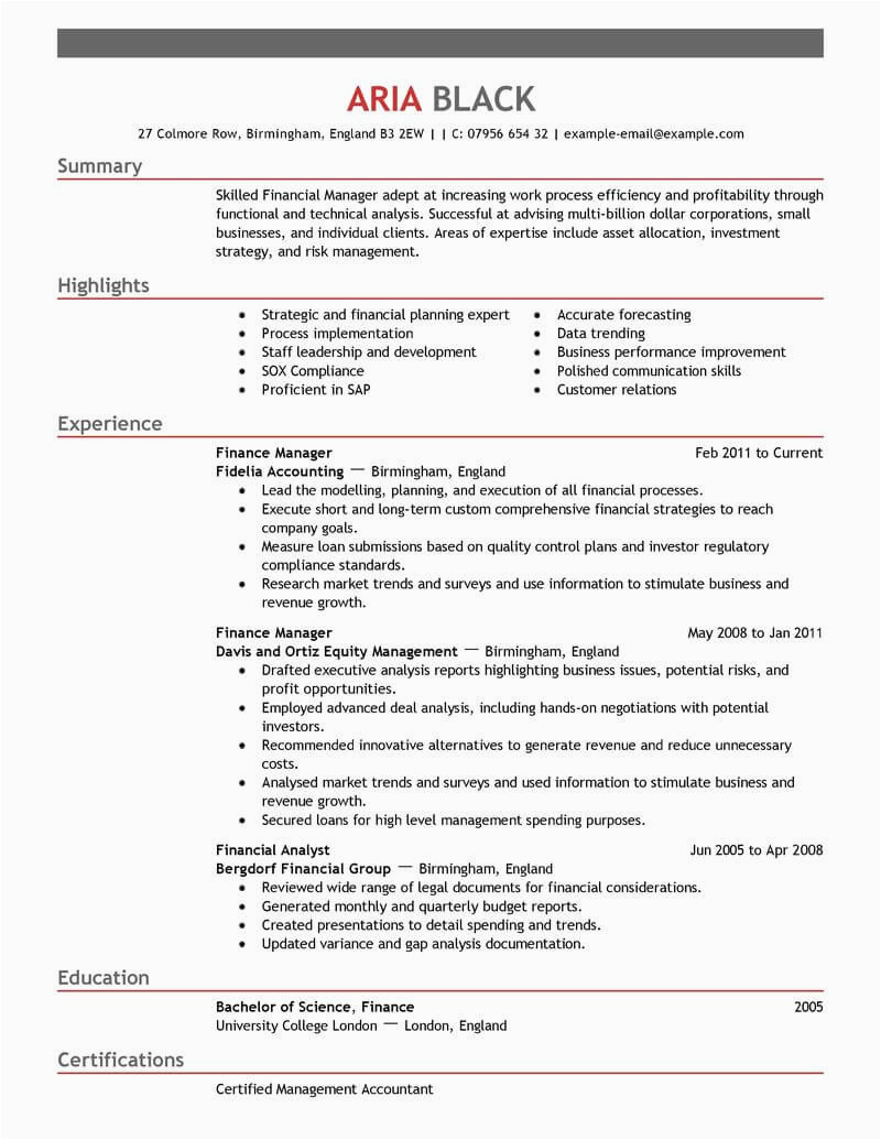 finance manager resume example