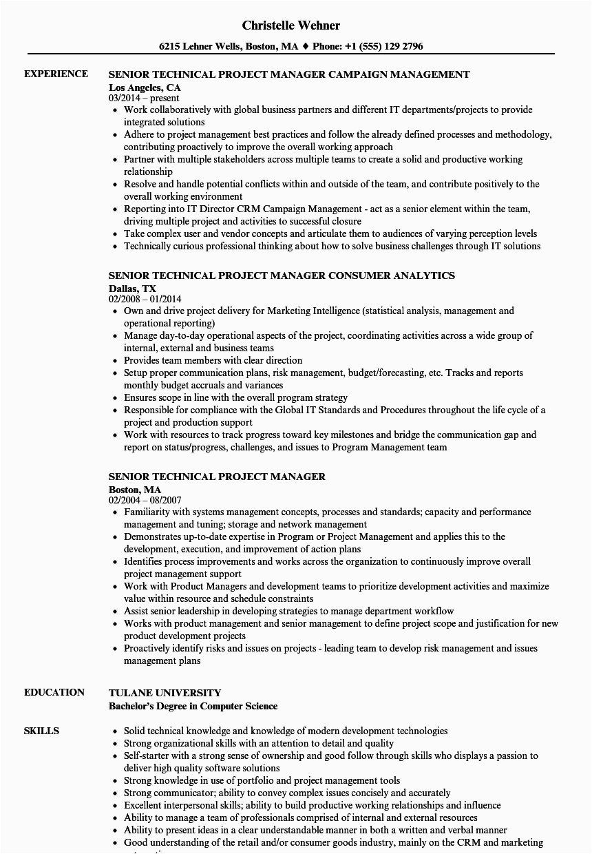 senior technical project manager resume sample