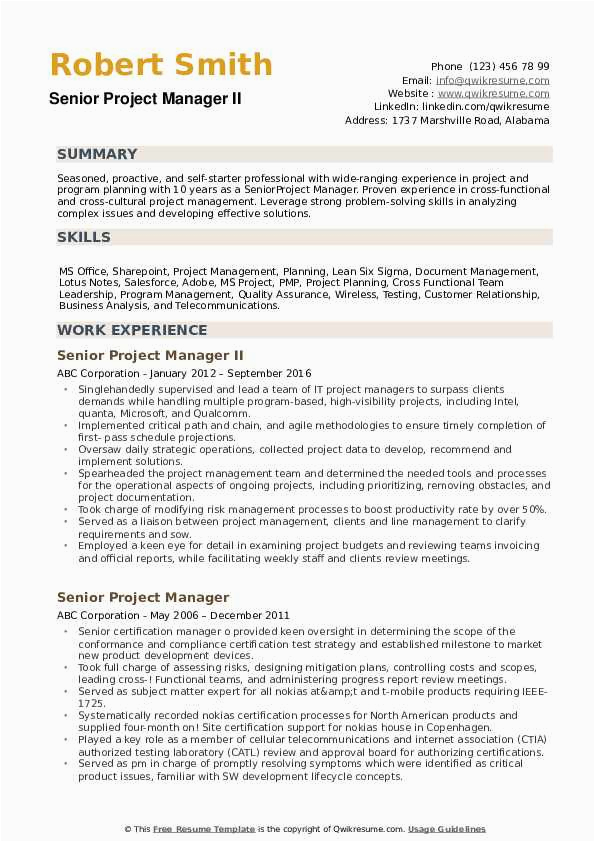 senior project manager