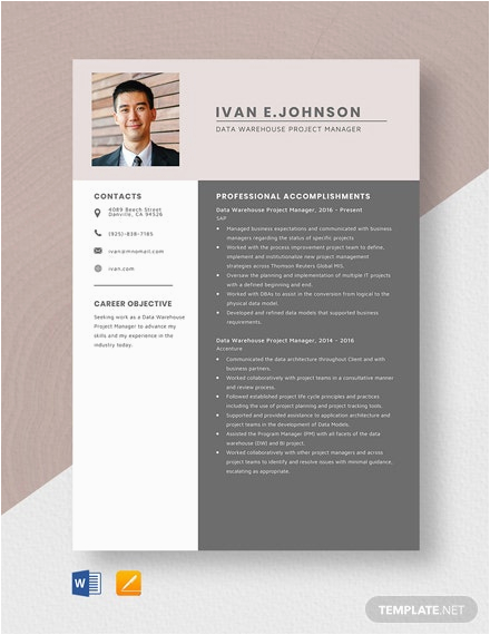 data warehouse project manager resume