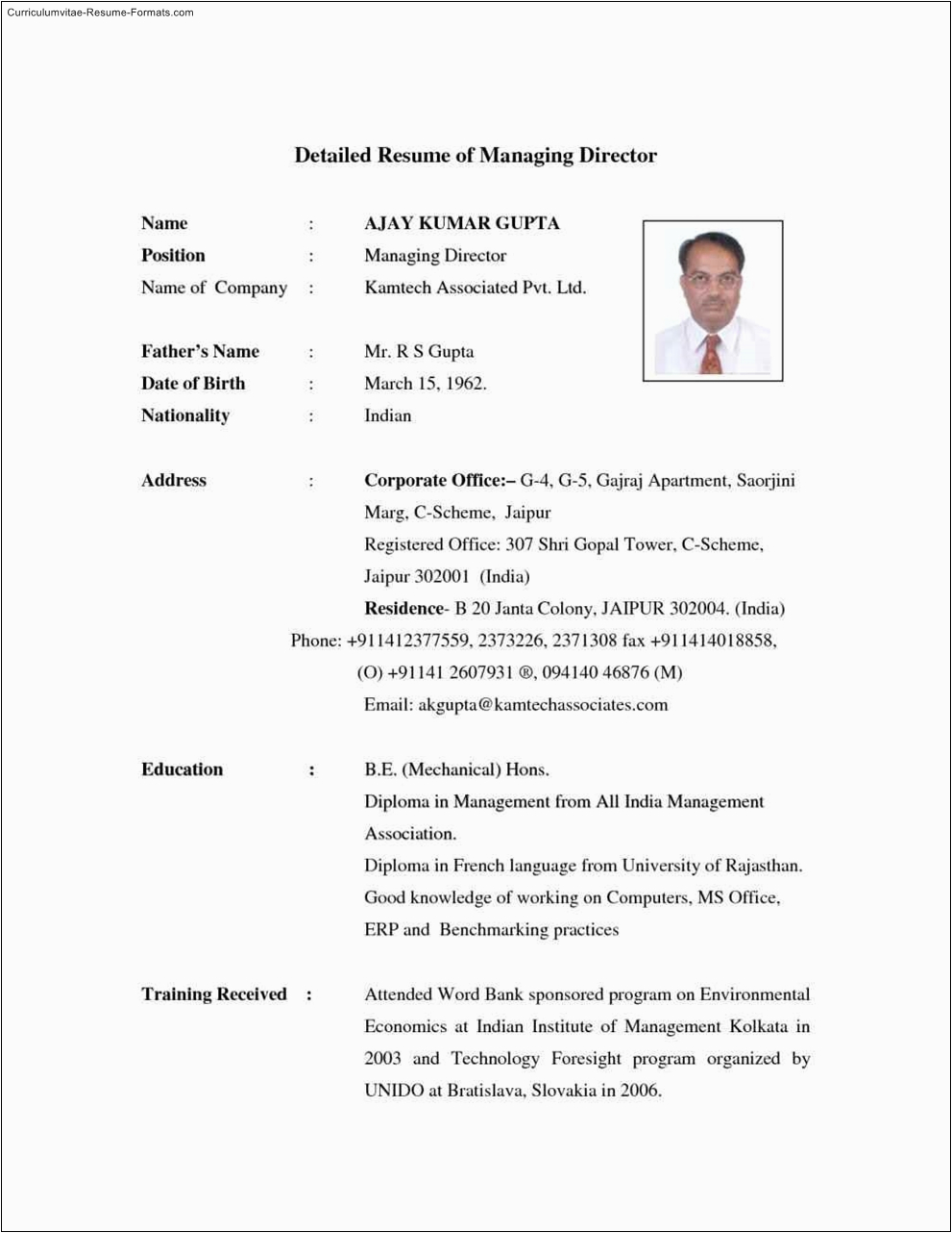 detailed resume template