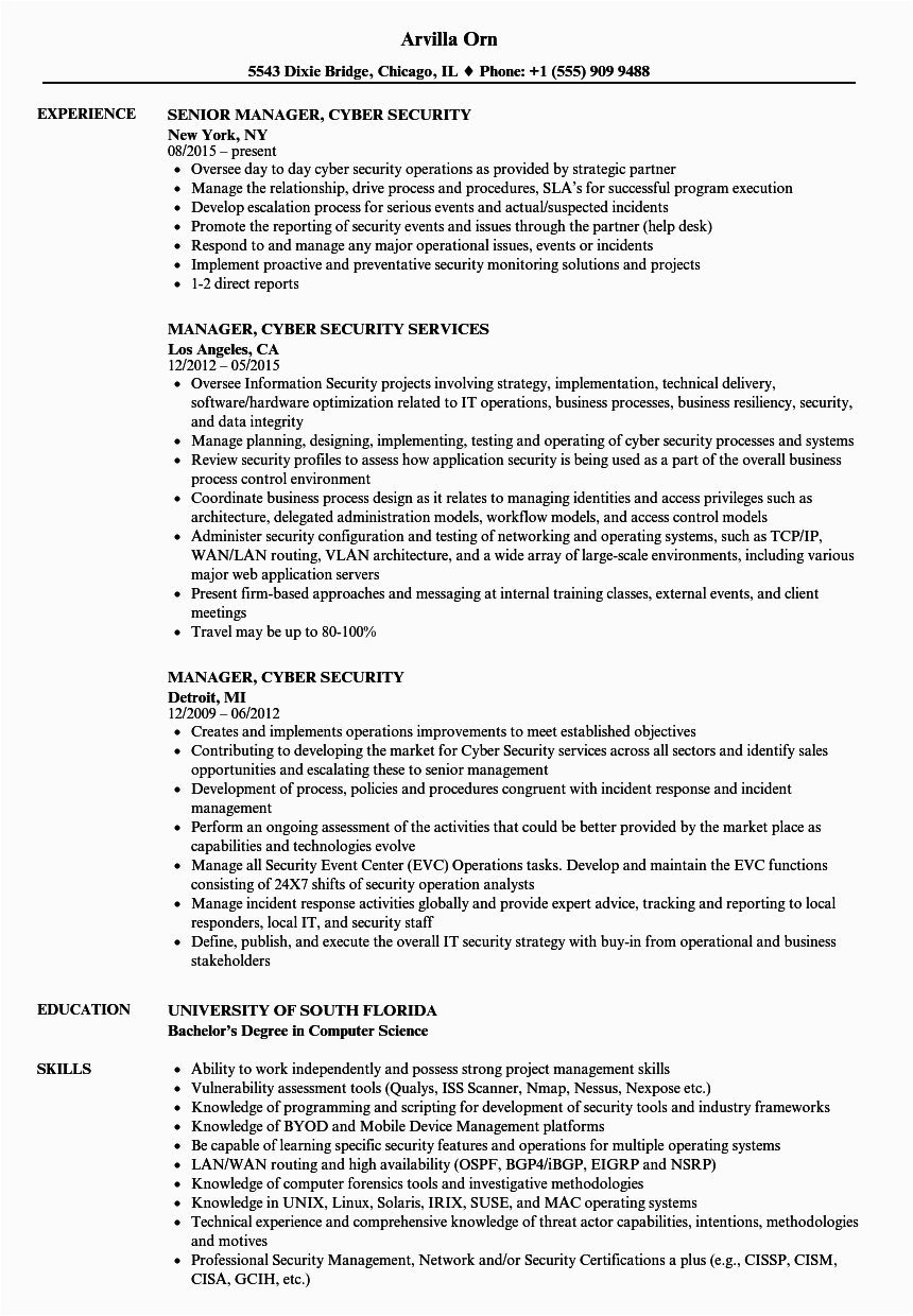 Entry Level Cyber Security Resume with No Experience Sample Cyber Security Resume Example Resume Template Database