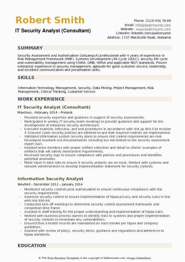 entry level cyber security resume with no experience