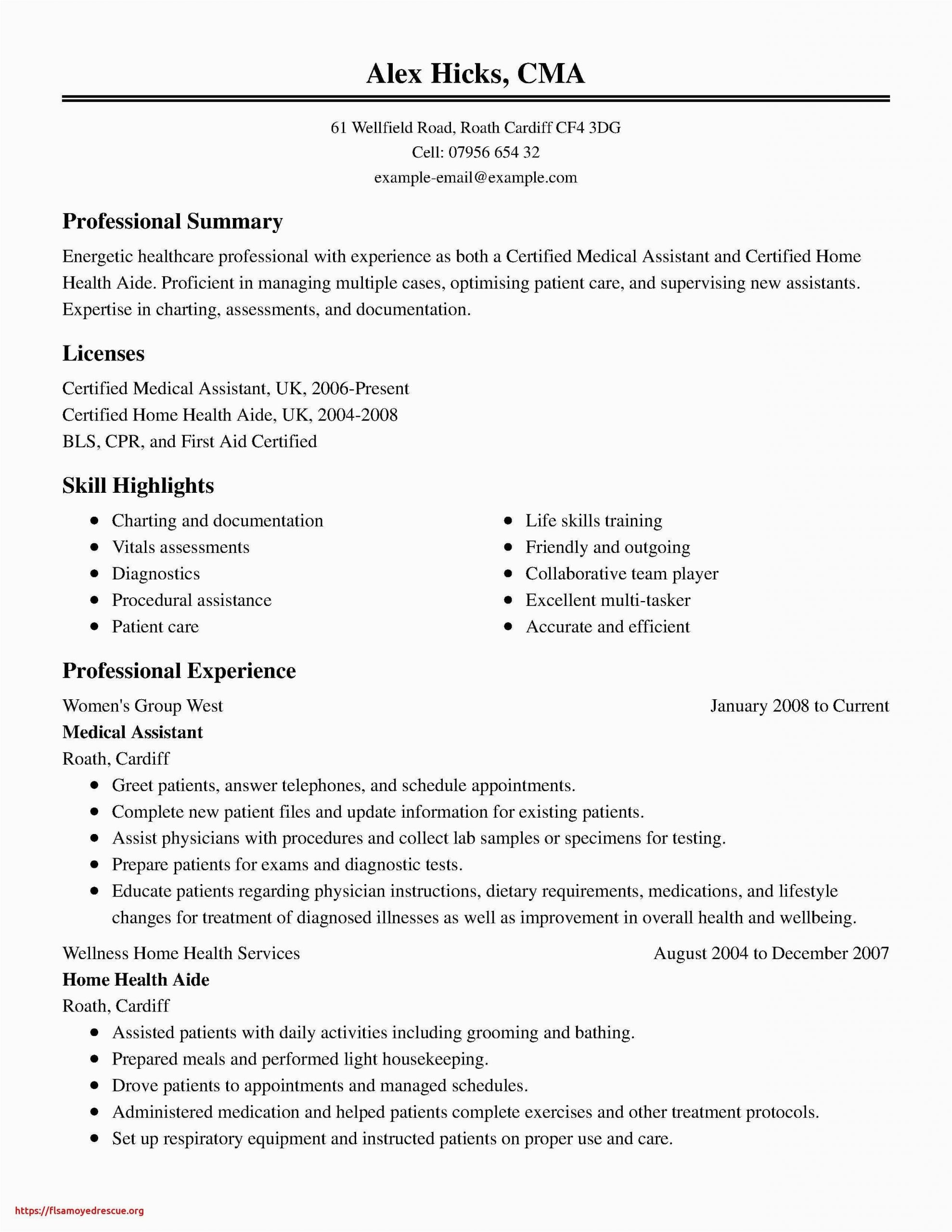 professional summary for resume no work experience