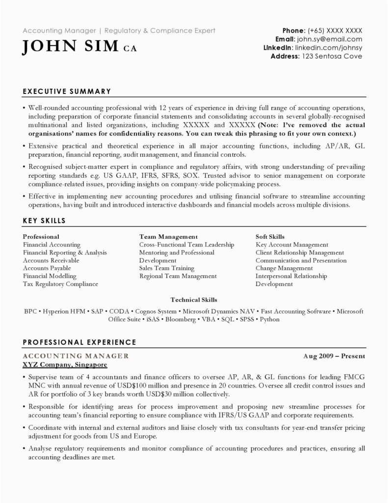 Professional Summary Resume Sample for Accountant Accounting Resume Sample