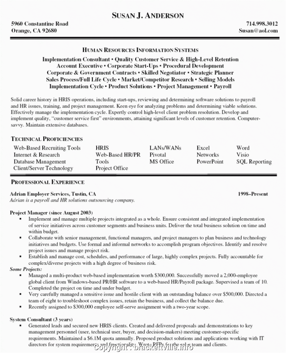 executive java project manager resume sample