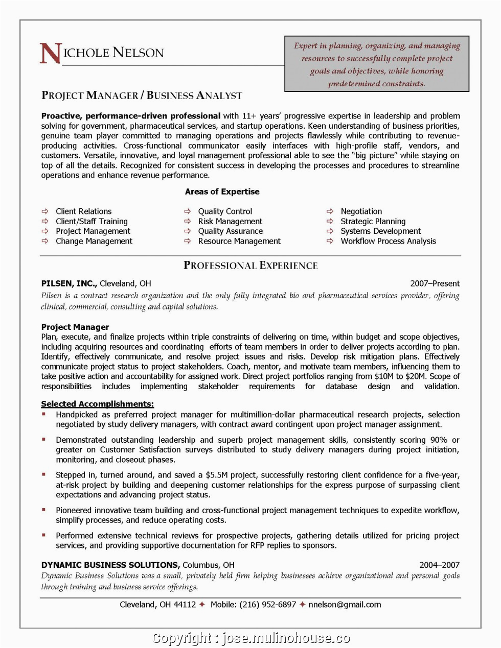 simple project manager cv template word