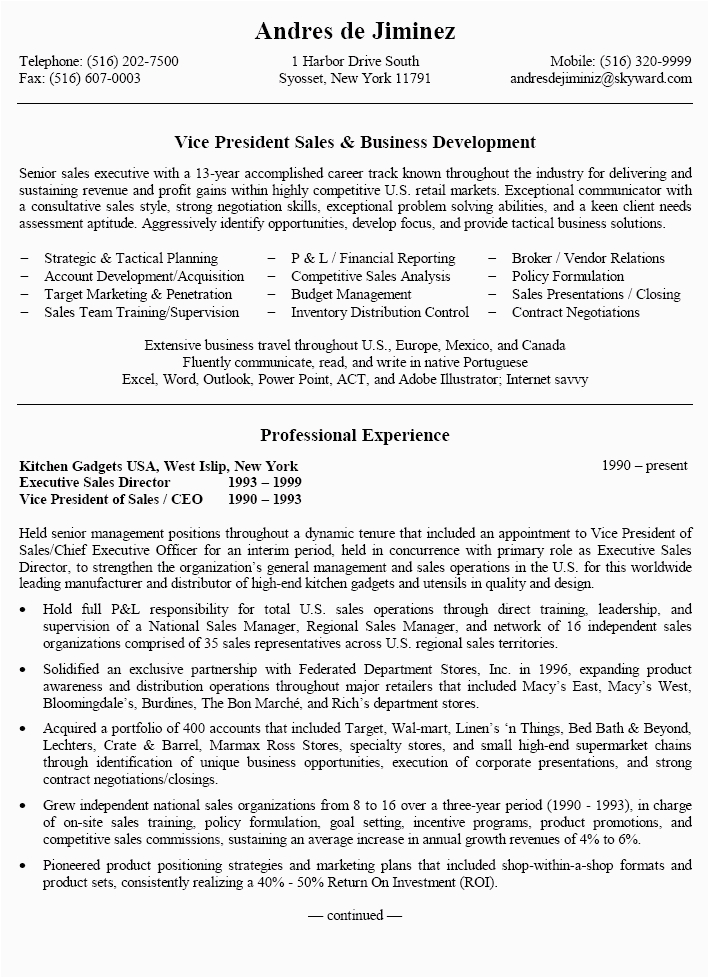 vp resume template this is how vp resume template will look like in 5 years time