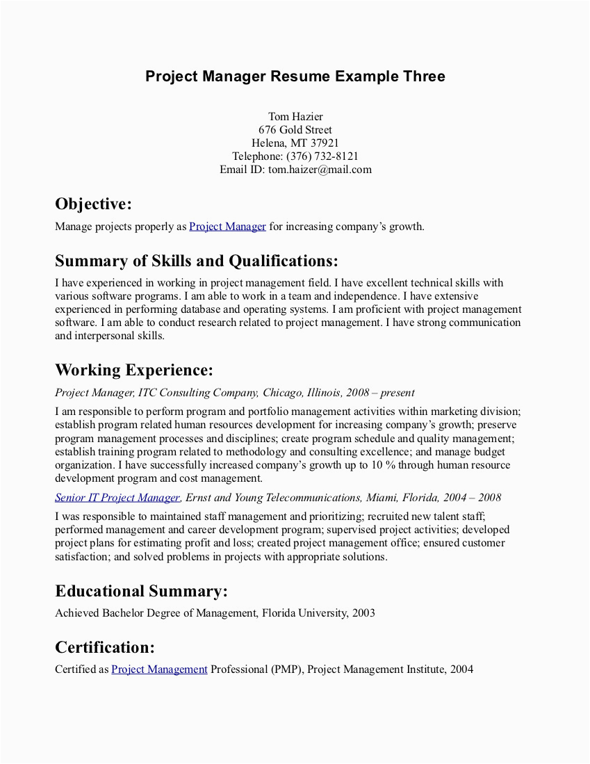 resume objective statement 2603