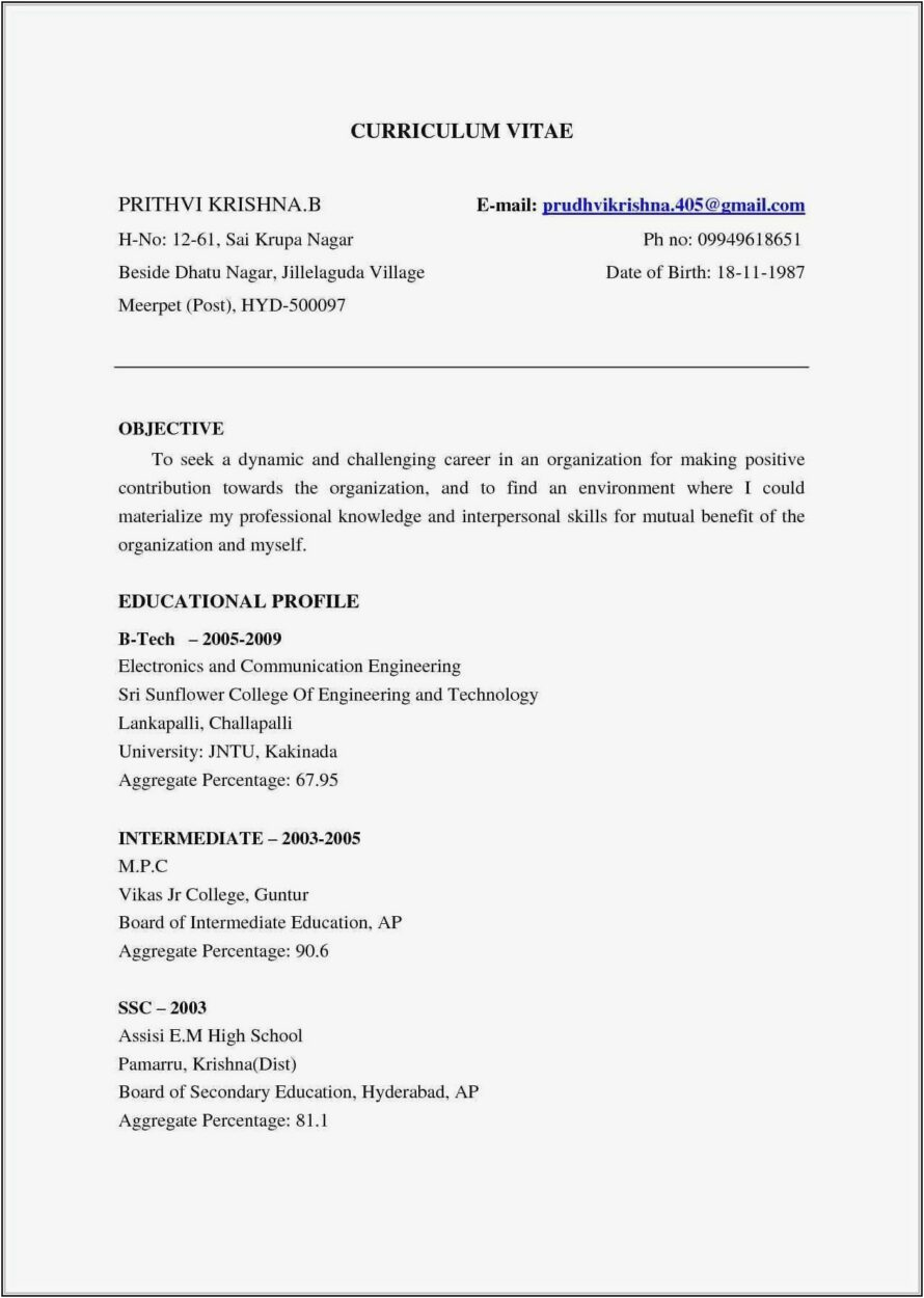 resume of civil engineer fresher pdf