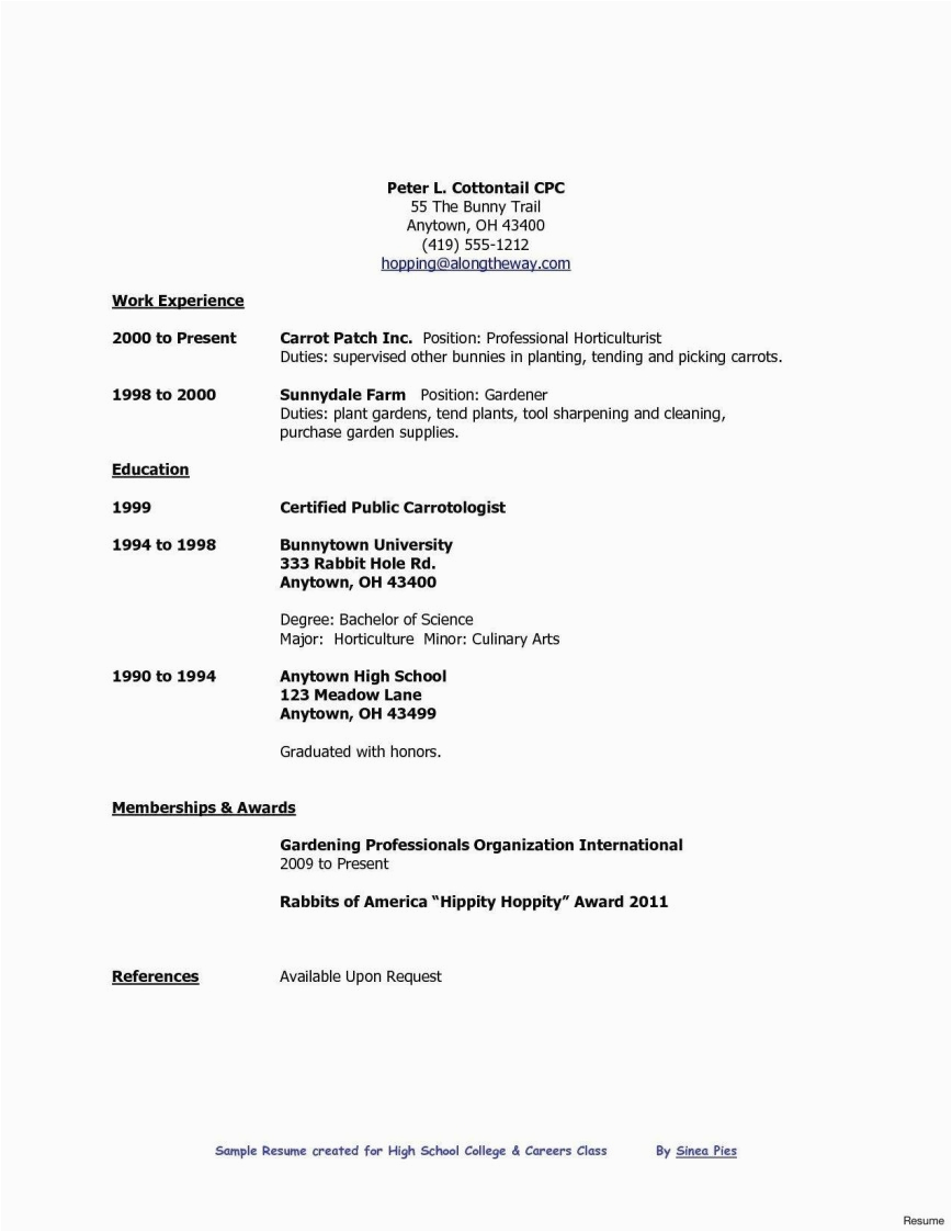professional high school student resume with no work experience template