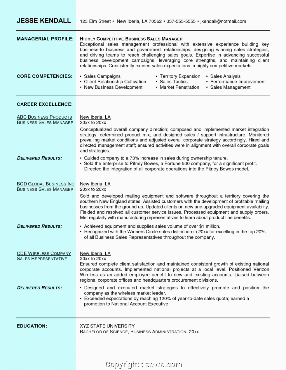 free resume format for sales and marketing manager
