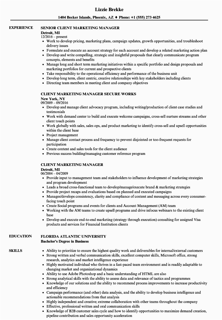 sales and marketing manager resume