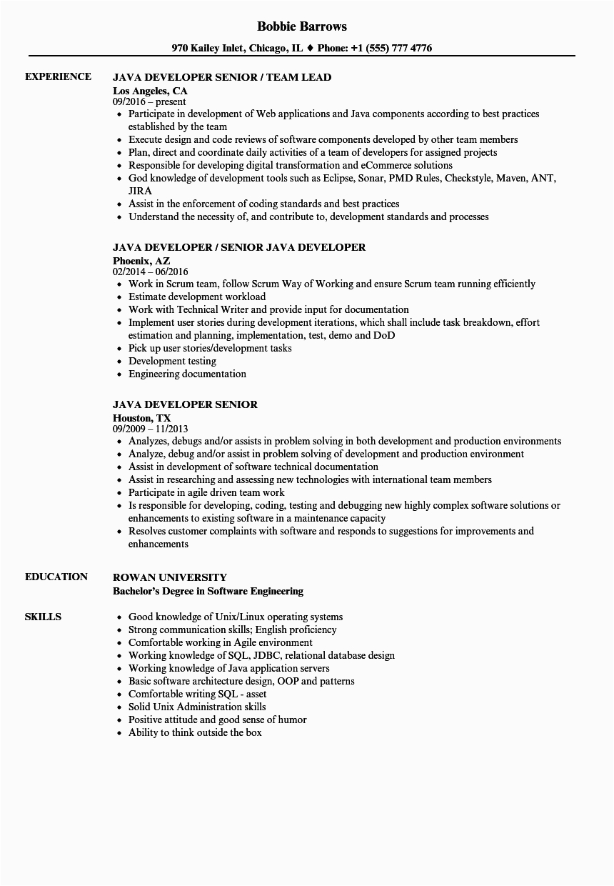 java developer senior resume sample