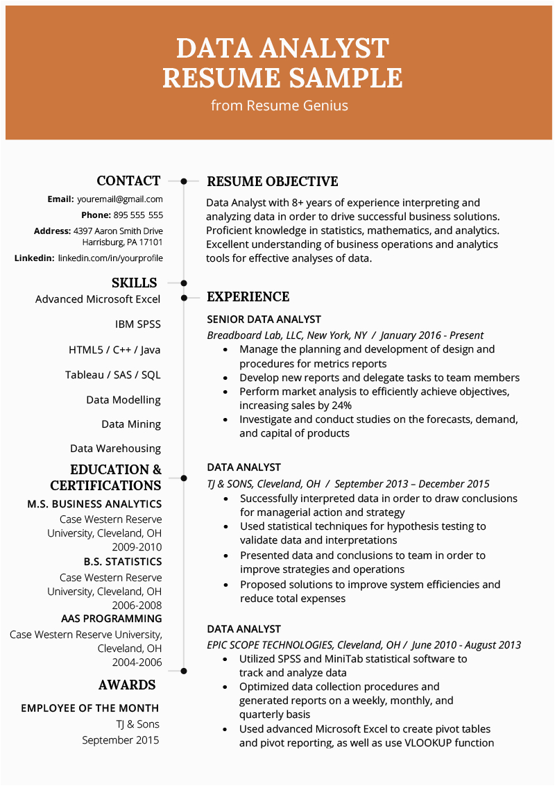 data analyst resume example