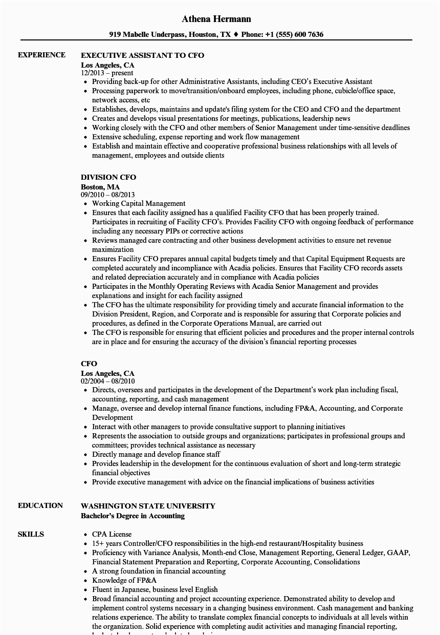 Sample Resume Of Cfo In India Cfo Resume Template In 2020