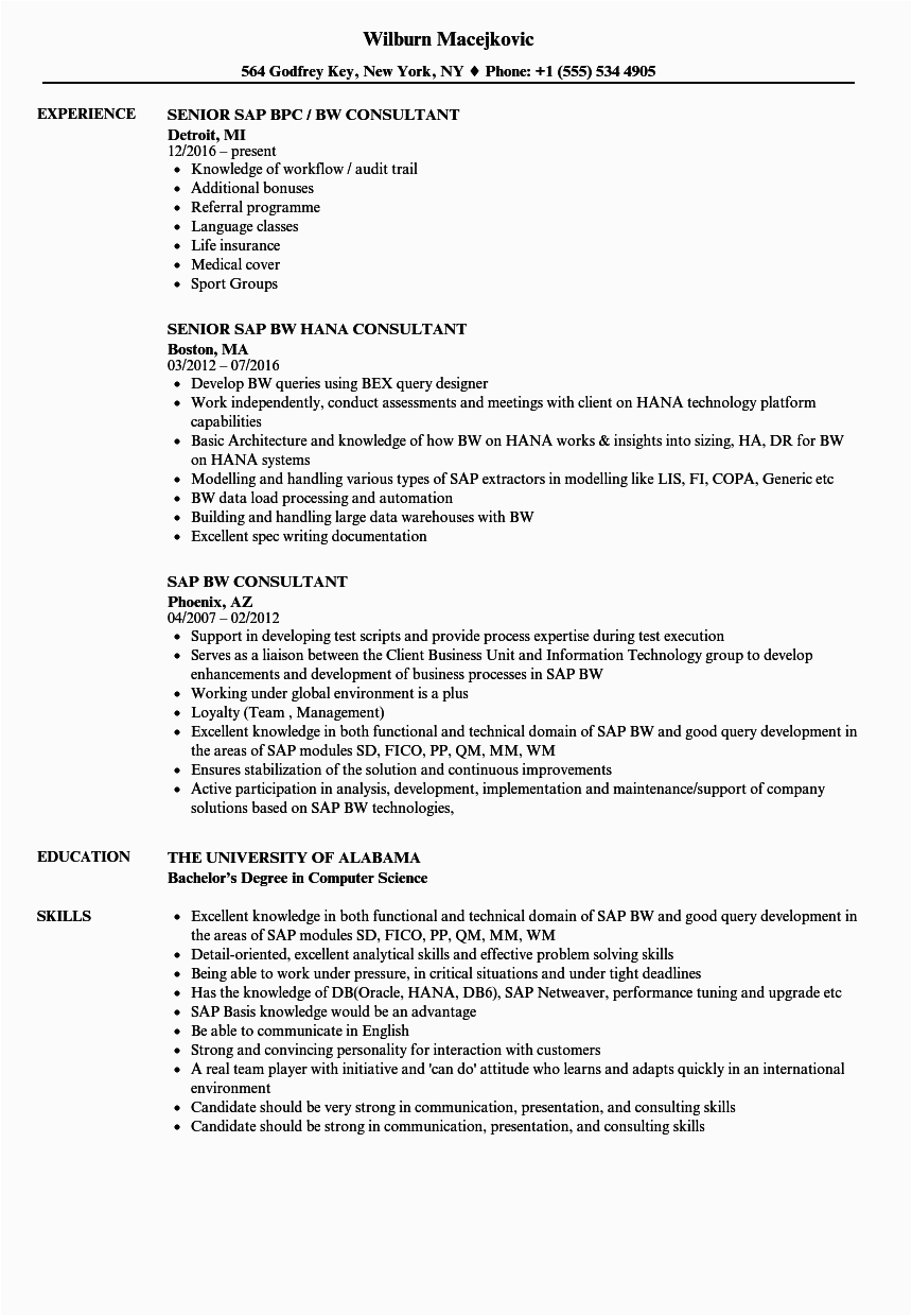 sap bw consultant resume sample