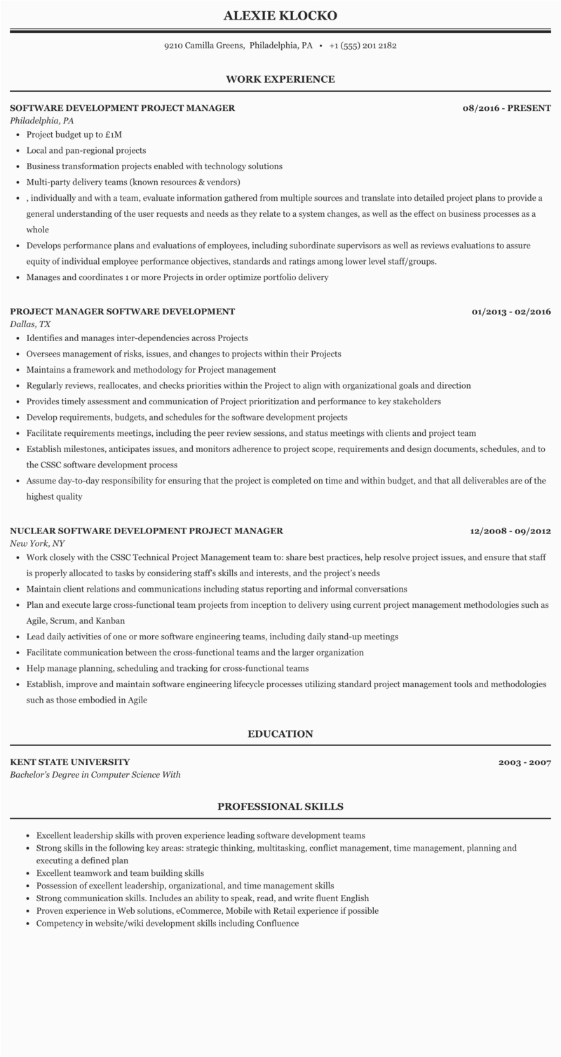 software project manager resume collection
