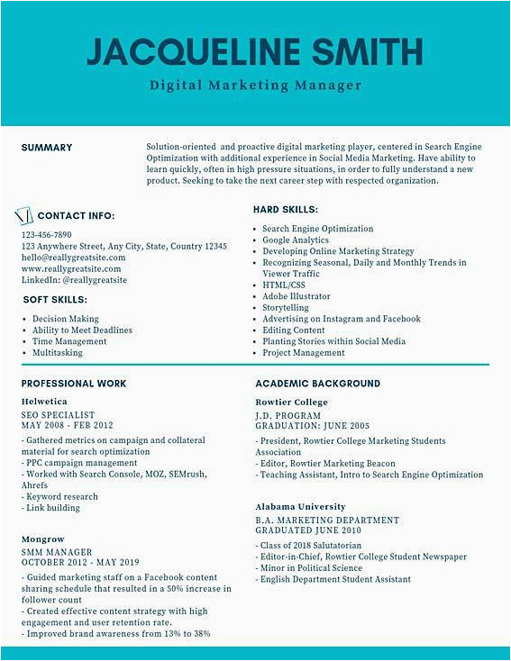 digital marketing manager resume example