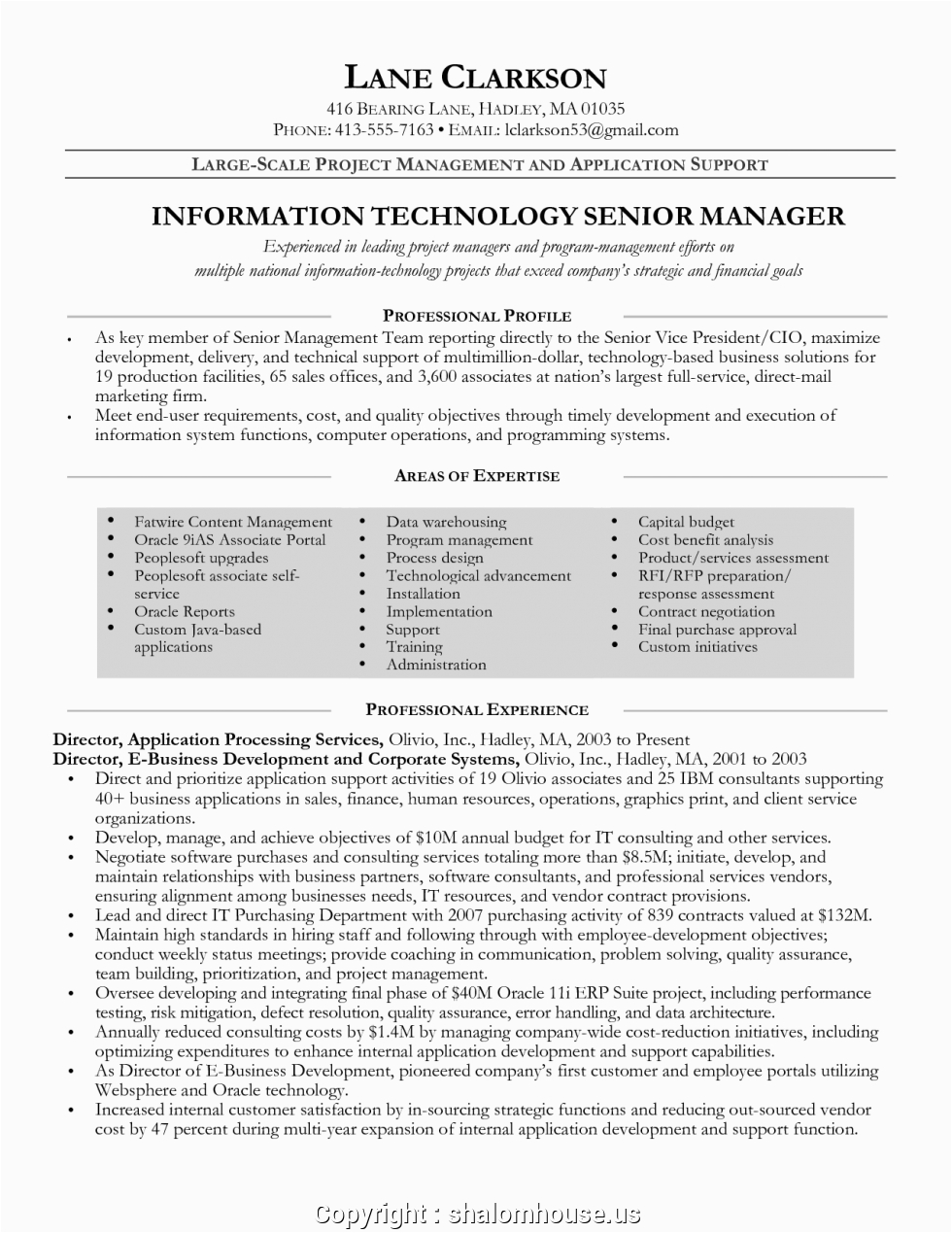 unique entry level project manager resume sample