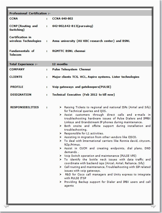 hardware and networking fresher resume format doc