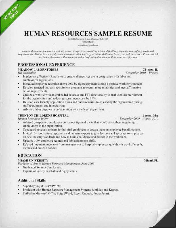 human resources hr resume example
