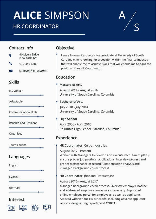 resumes format