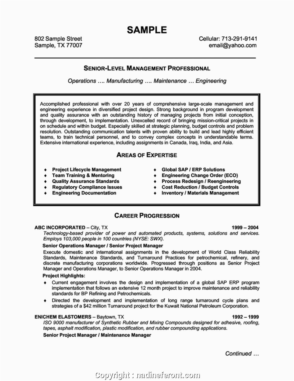 professional management resume profile samples