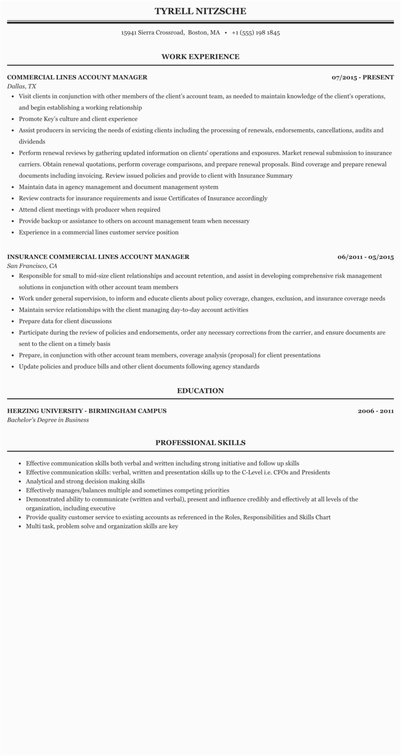 account manager resume