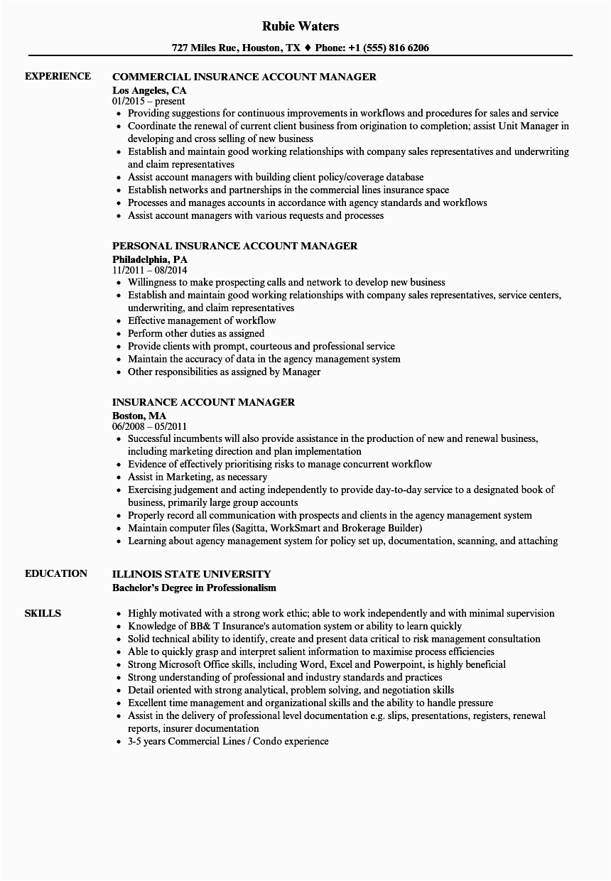 Sample Resume for Commercial Insurance Account Manager Insurance Account Manager Resume Samples