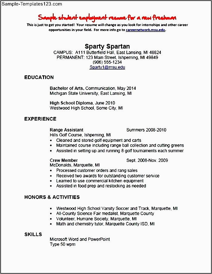 self employed resume example