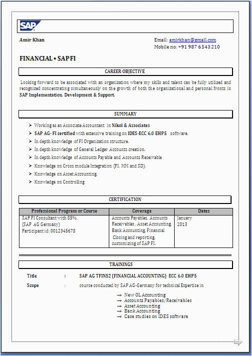 sap fico resume format