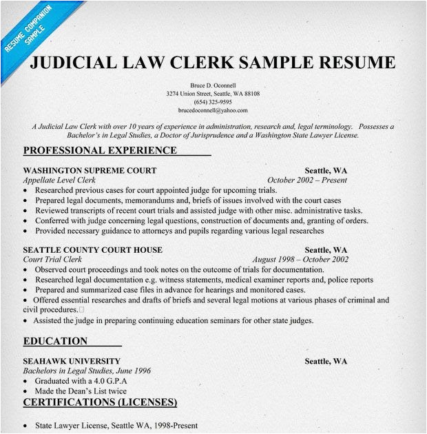 law clerk resume samples