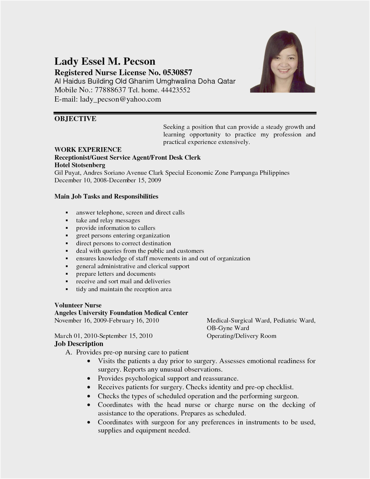 example of resume for job application pdf