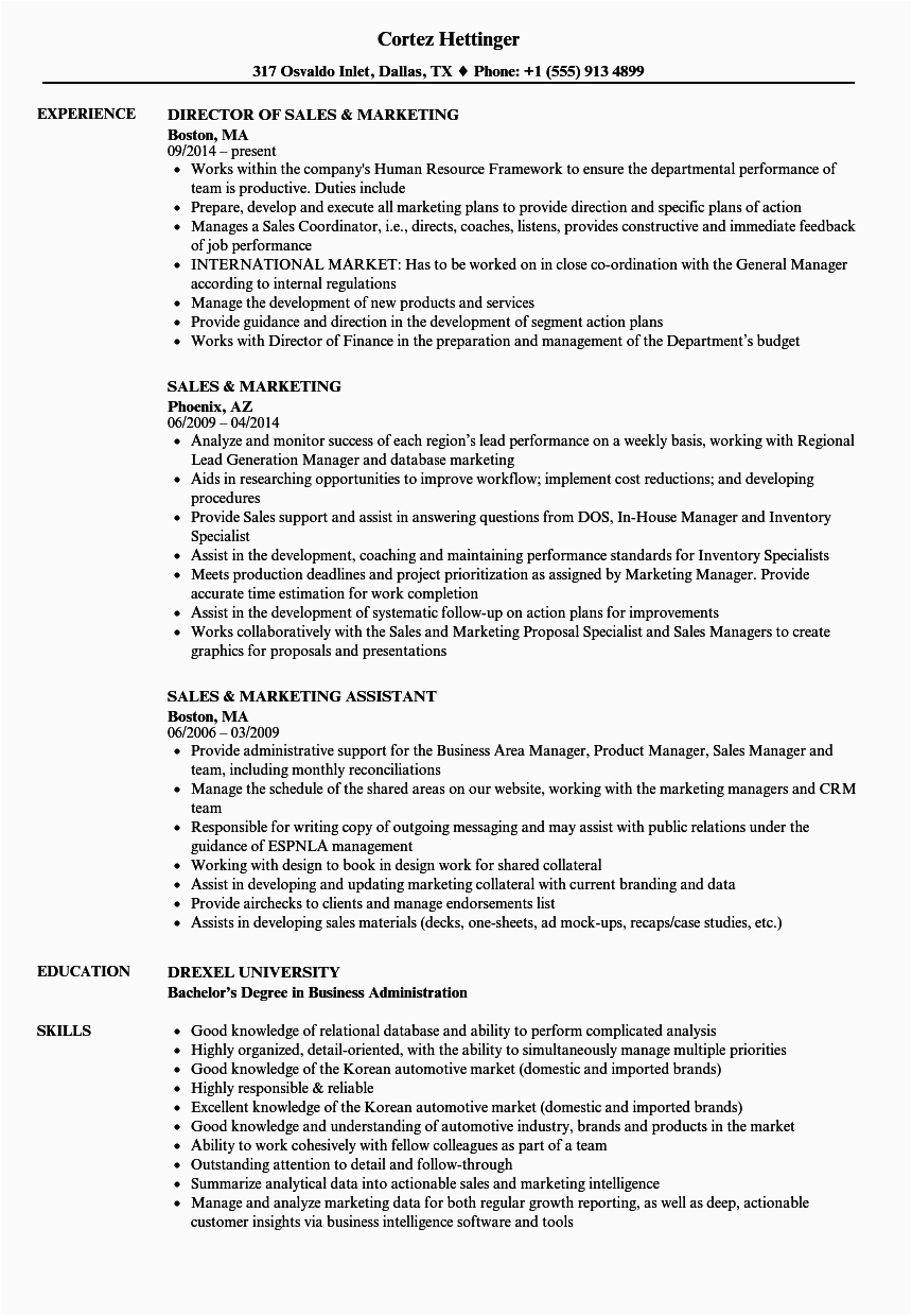 sales marketing resume sample