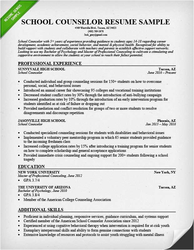 sample counselor resume