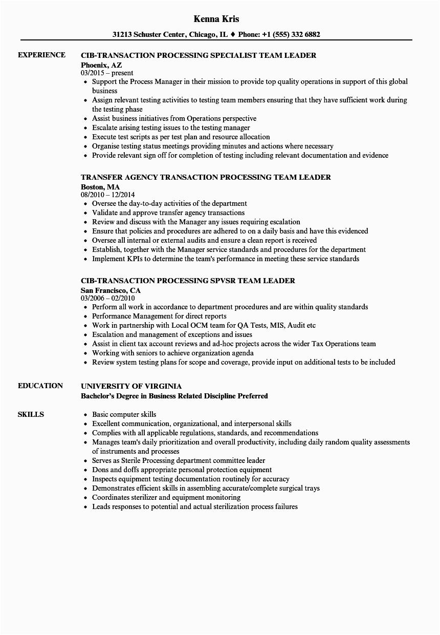 team leader processing resume sample