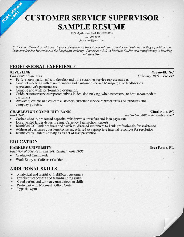 resume examples of customer service