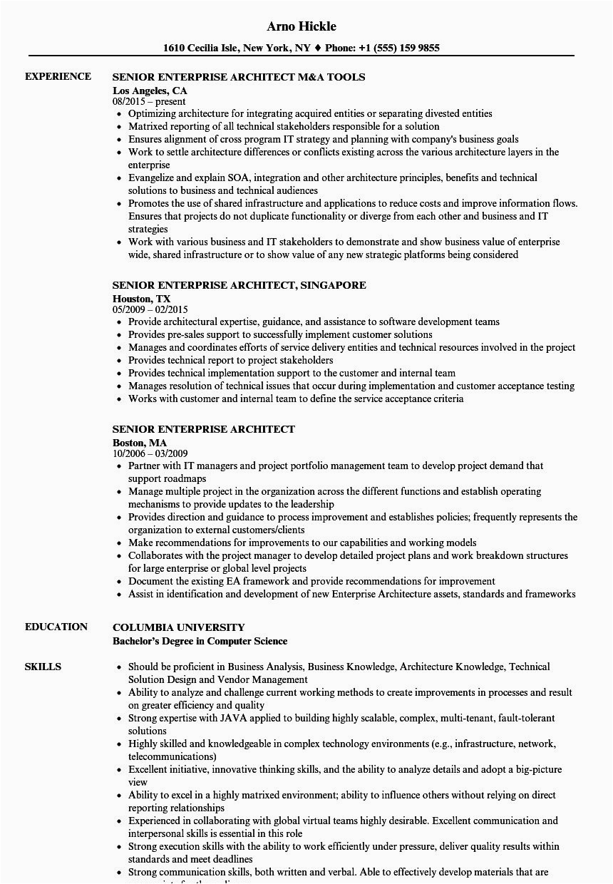 resume objective for architect of enterprise rent a car resume inspirational senior enterprise architect resume samples