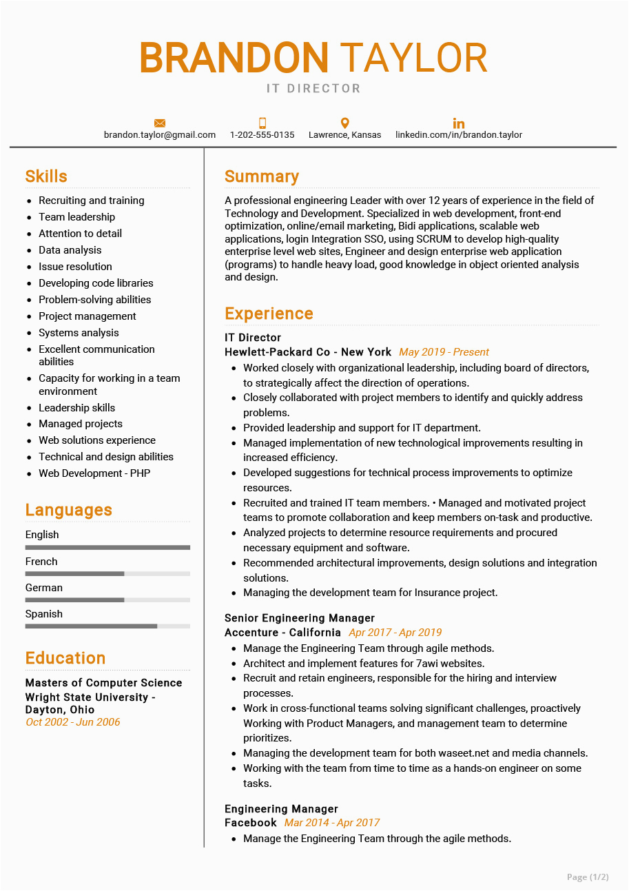 Resume Summary Samples for It Professionals It Director Resume Example
