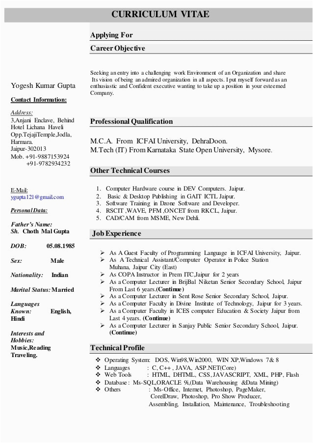 resume for puter science faculty