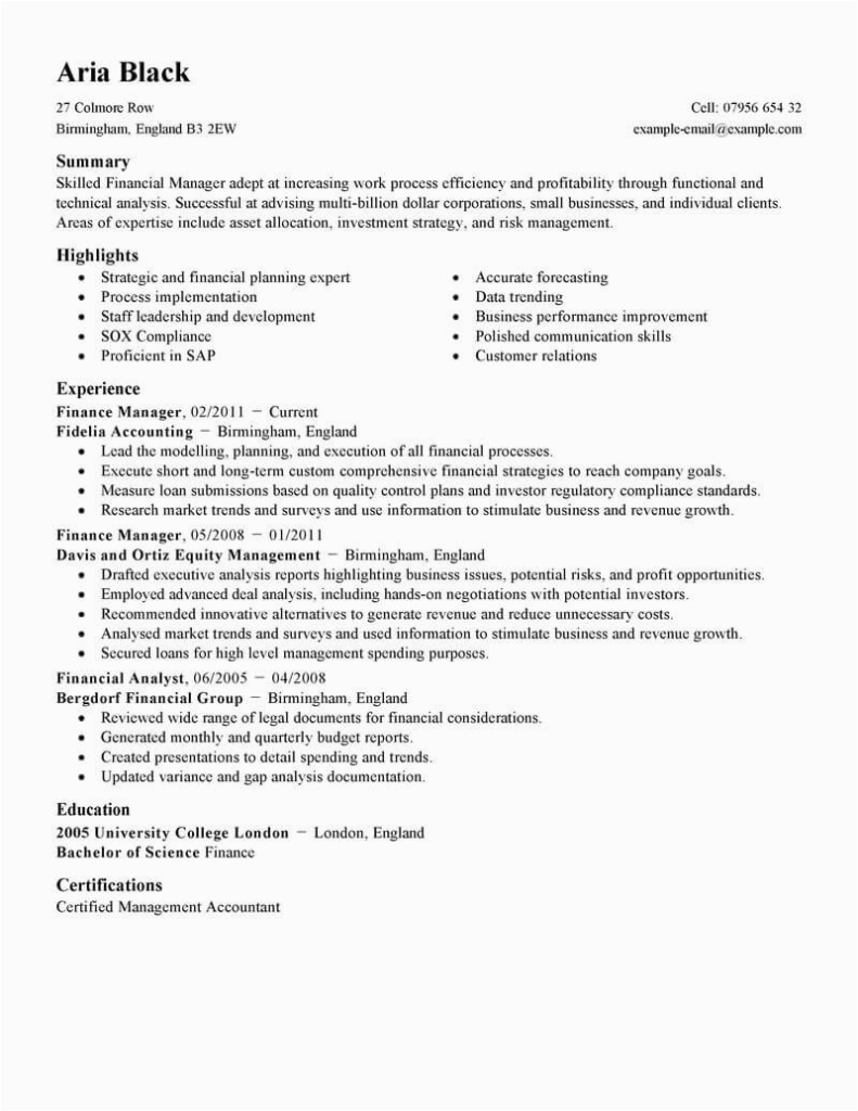 Sample Resume for Credit Manager In India Best Finance Manager Resume Example
