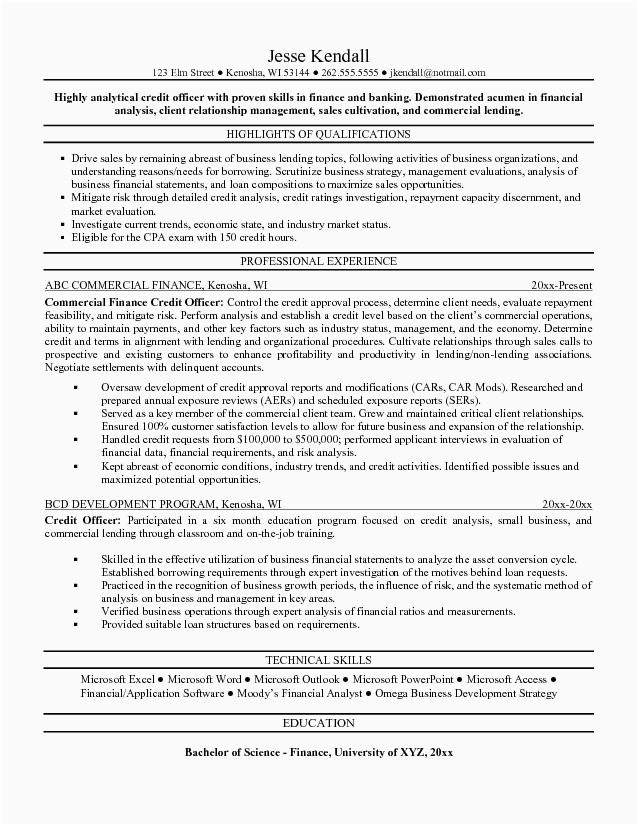 credit manager resume 2