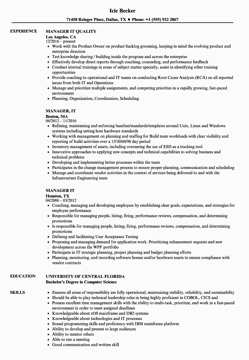 Sample Resume for It Manager Position Manager It Resume Samples