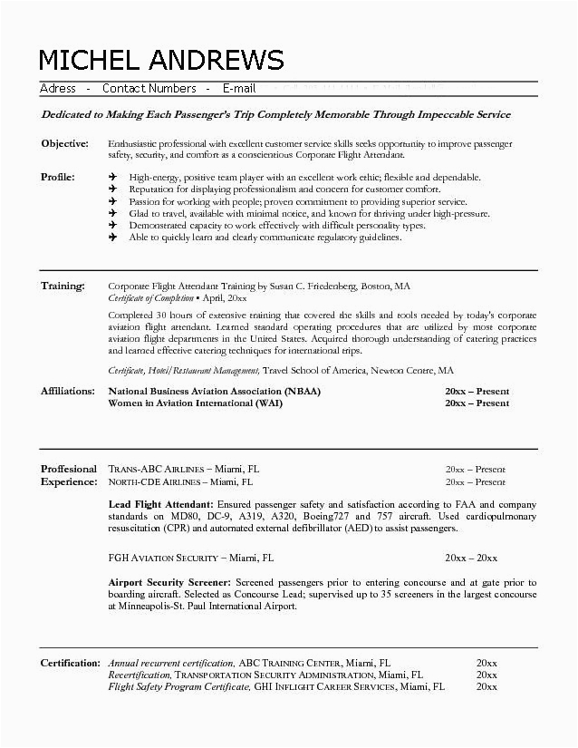 sample resume for cabin crew with no experience
