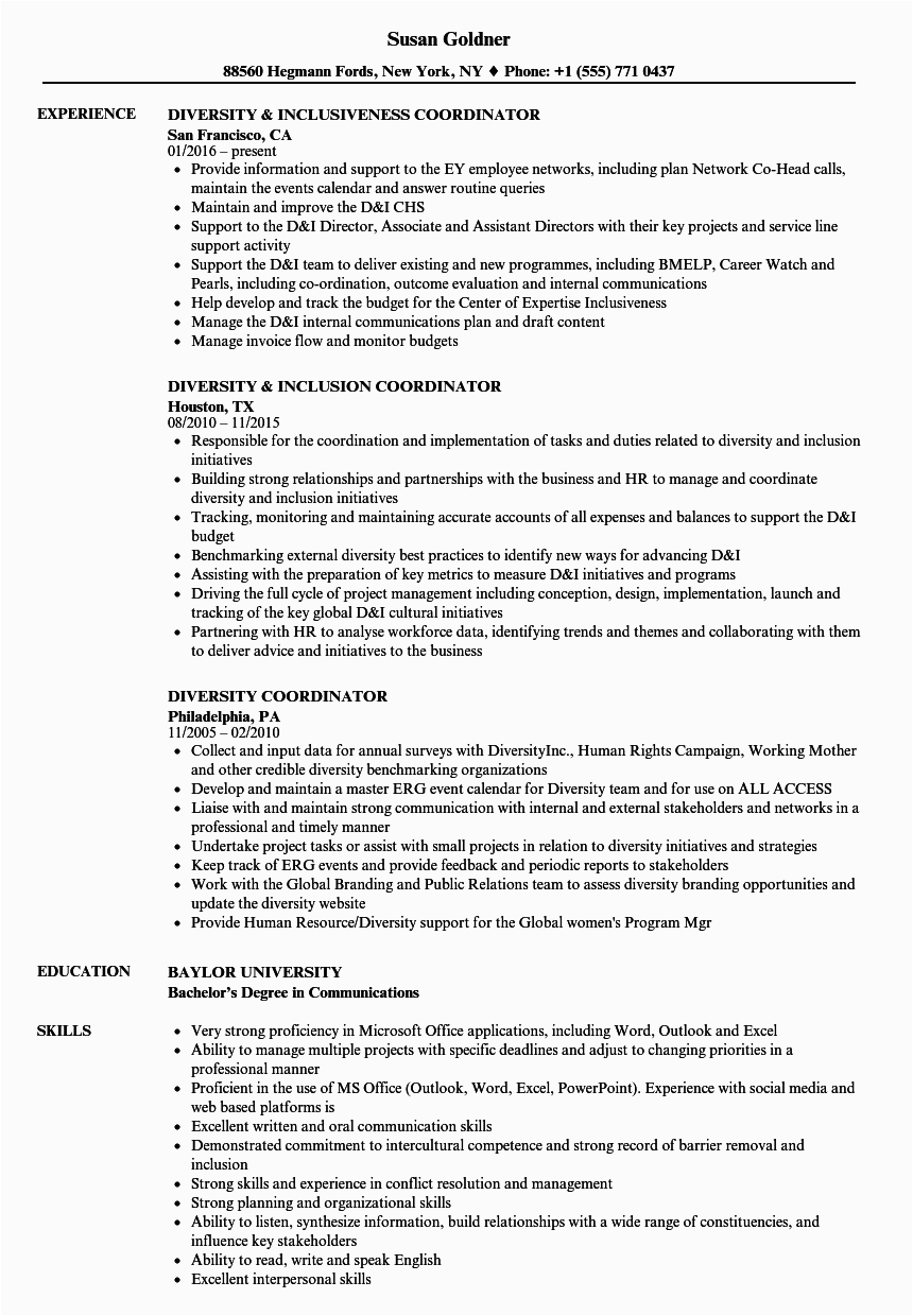 Sample Resume with Diverse Work Experience Diversity Coordinator Resume Samples