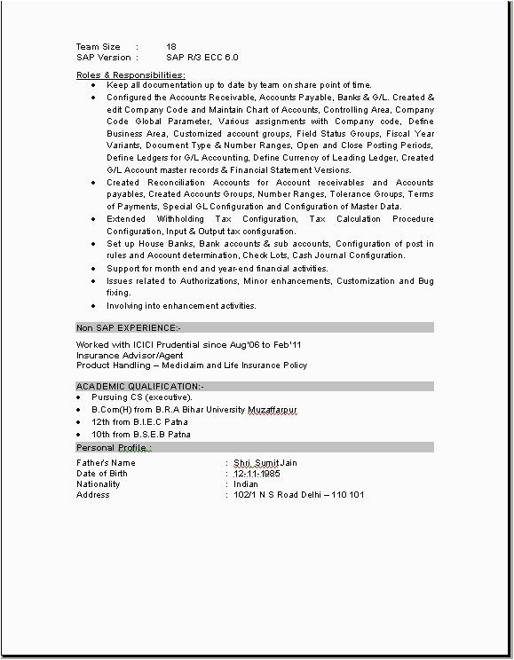 sap pp end user resume sample