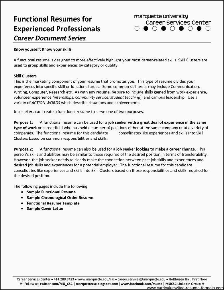 Free Sample Resume for Experienced It Professional Resume format for It Professional Experience