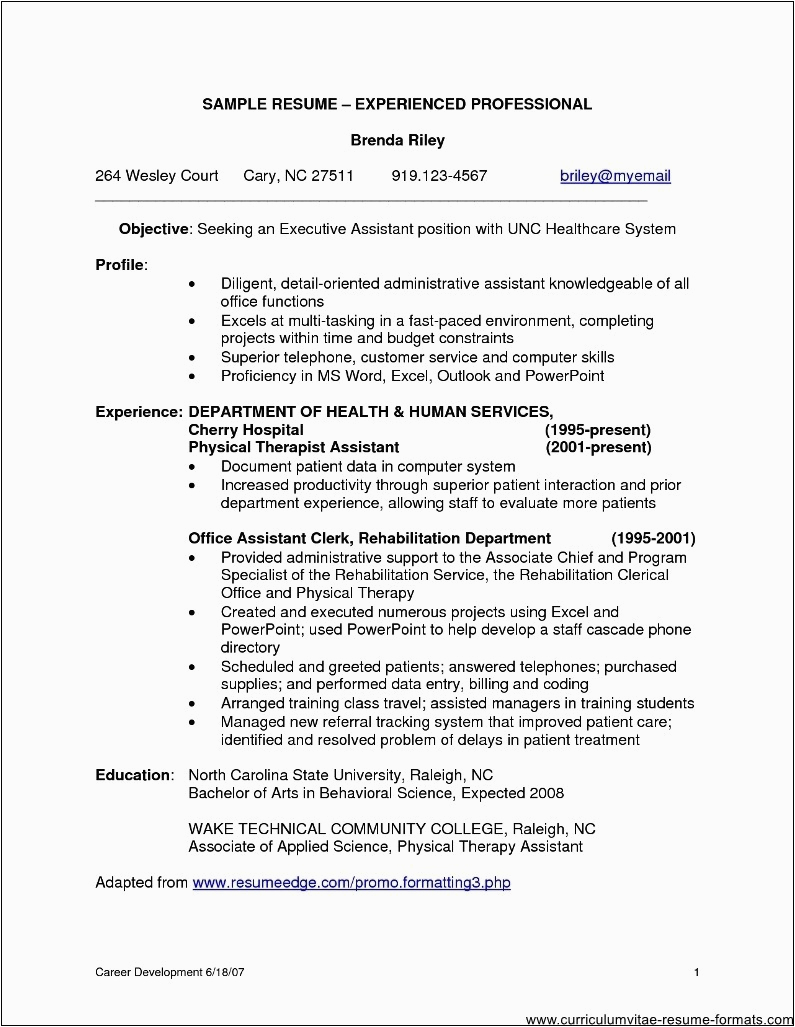 sample resume format for experienced it professionals