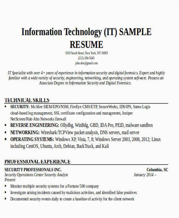 Free Sample Resume for It Professional 24 It Resume Templates Pdf Doc